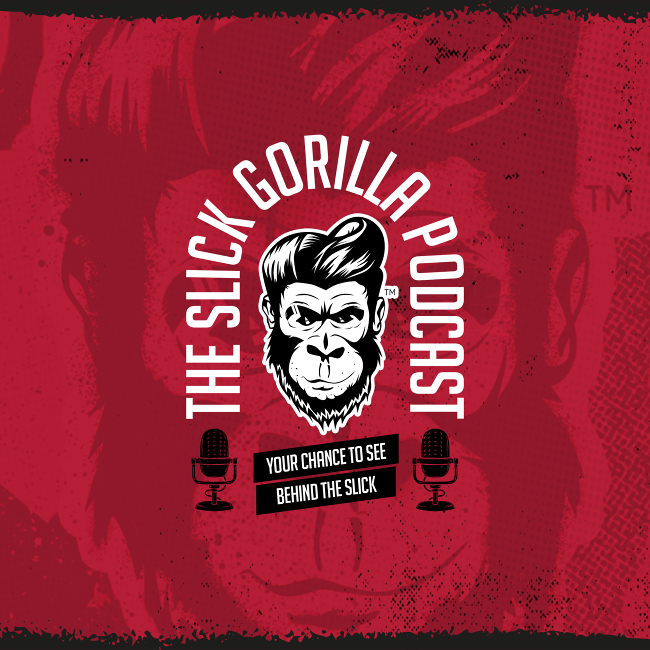 The Slick Gorilla Podcast Ep.1 Joel Ezekiel